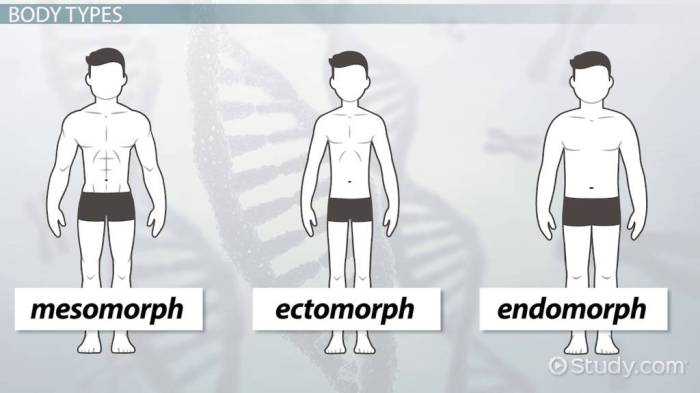 Apa Itu Mesomorph Dan Bagaimana Ciri-Cirinya Secara Detail?