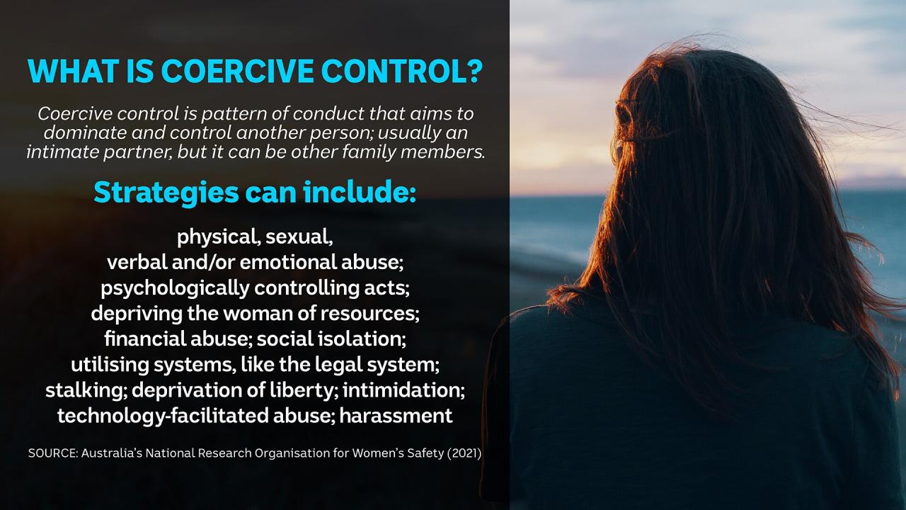 Denial coercive violence blaming intimate minimising tactic separation clare tactics degradation institutions motivations suppression phd controlling degrade psychological gender prejudices