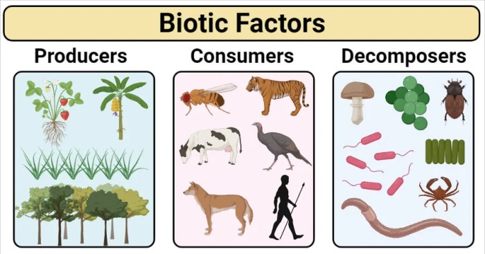 Komponen Lingkungan Biotik Dan Interaksinya