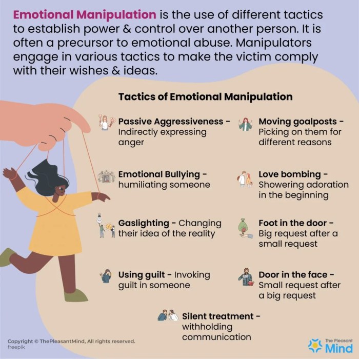 Manipulatives applications literature