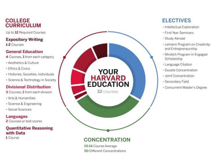 Admissions map roadmap process steps