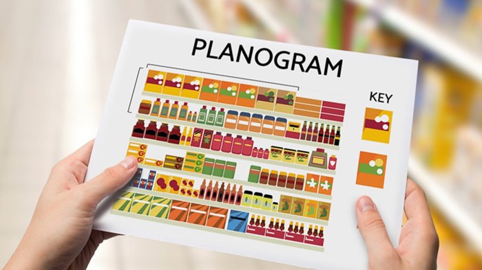 Planogram planograms pharmacy shelf pet nedir örnek