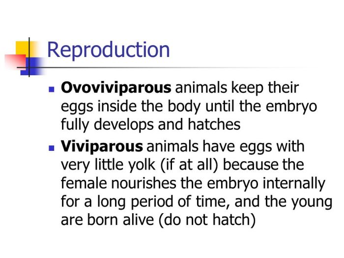 Animals animal oviparous reproduction unit examples vertebrate born piece cake