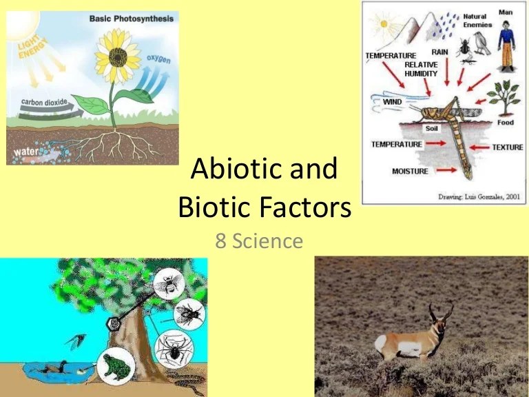 Komponen Lingkungan Biotik Dan Interaksinya