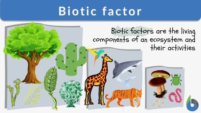 Ecosystem components biotic abiotic concepts teachoo look together