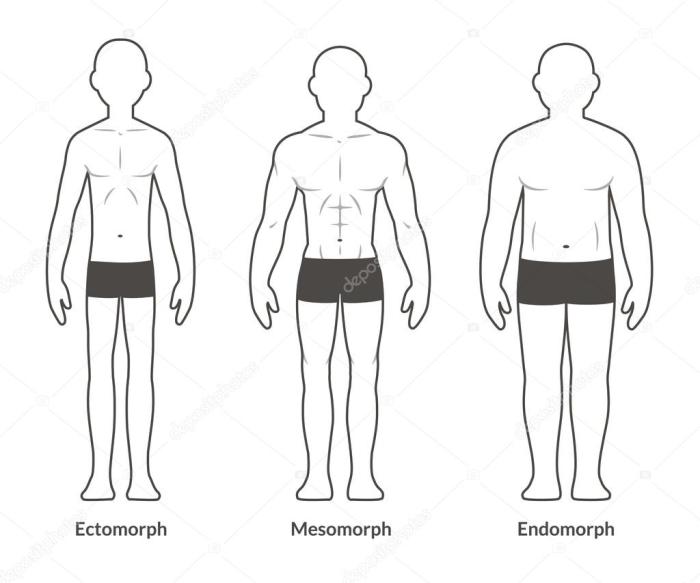 Apa Itu Mesomorph Dan Bagaimana Ciri-Cirinya Secara Detail?