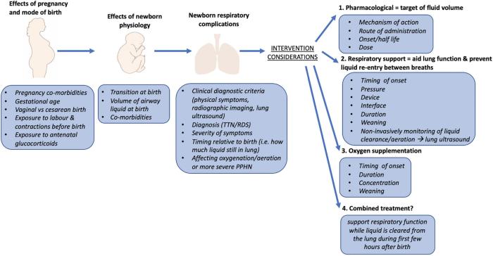 Tachypnea newborn transient ttn transitoria recién taquipnea nacido causes faktor risiko bayi lahir tratamientos síntomas healthjade desilusion