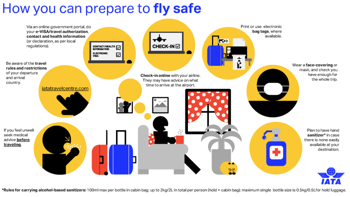 Tips Dan Panduan Untuk Safe Flight Selama Perjalanan Udara