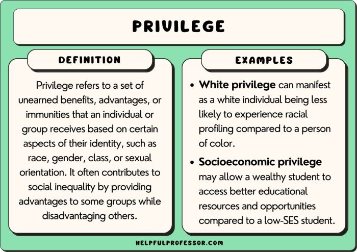 Privilege leadership feminist