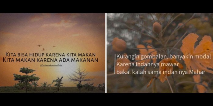 Arti Kata Humble Dalam Bahasa Indonesia Dan Contoh Penggunaannya