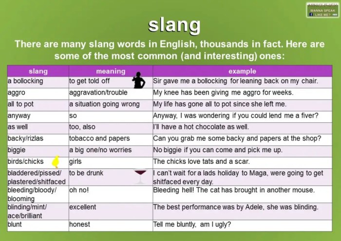 Slang Kata